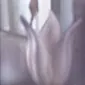 پیوترک