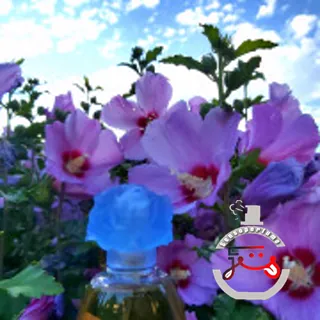Cabotine Bleu Grès