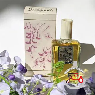 Глициния (Glicinia) Сувенир (Краснодар)