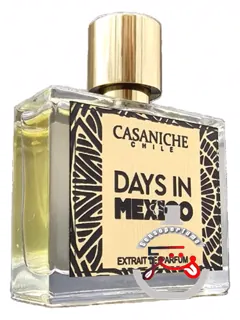 دیز این مکزیکو کازانیچ | days in méxico casaniche