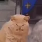 دی‌تی‌بنِت