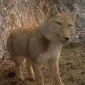 Coolwaterfan