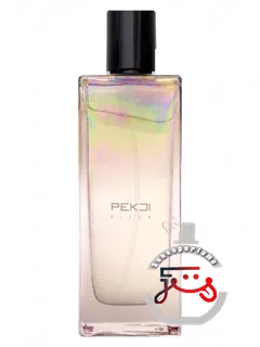 فلش پک‌جی | flesh pekji