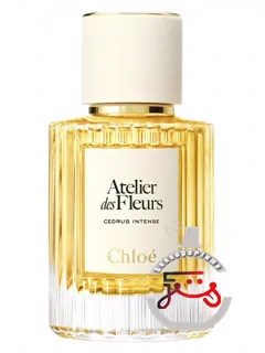 سدروس اینتنس کلوی | cedrus intense chloé