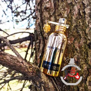 Moon Aoud Montale