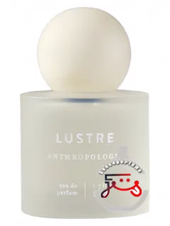 لستر آنتروپولوژی | lustre anthropologie