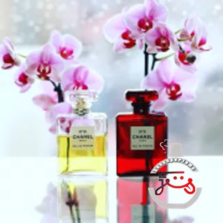 Chanel No 5 Eau de Parfum Red Edition Chanel