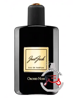 اورکید نوار جاست جک | orchid noir just jack