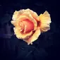 آماره