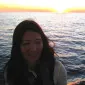 فیلم‌اوستر