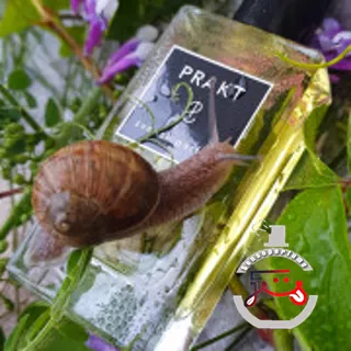 Prakt Svensk Parfym