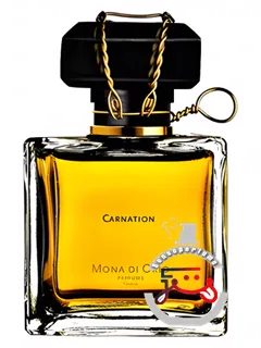 کارنیشن مونا دی اوریو | carnation mona di orio
