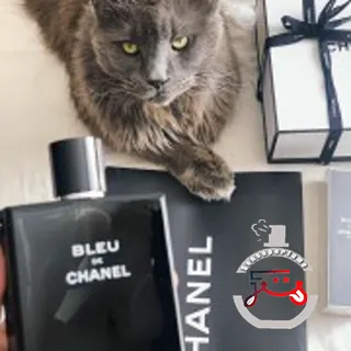 Bleu de Chanel Chanel