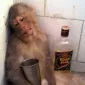 جی‌کِی یک‌هزار و ششصد و سه