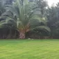 وَقْف