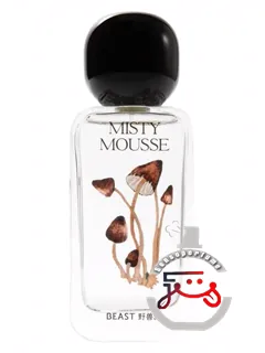 میستی موس، لوشویی چینگتای، بیست، یه‌شوپای | misty mousse 露水青苔 beast 野兽派