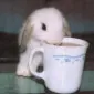 tinytonygirl