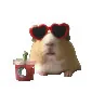 thenomnomhamster