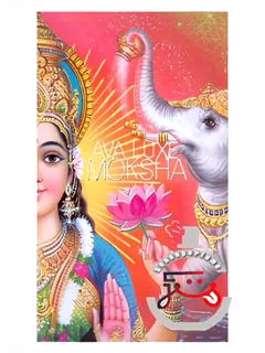 موکشا آوا لاکس | moksha ava luxe