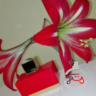L'Acquarossa Eau de Toilette Fendi
