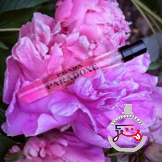 Prada Paradoxe Intense Prada