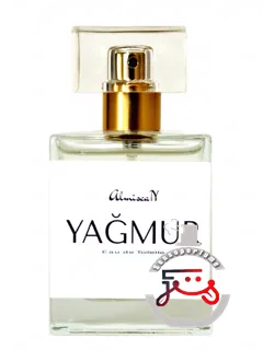 یاغمور آلمیشجان | yagmur almiscan