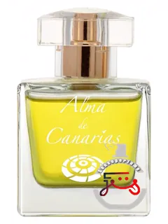 سامر آلما د کاناریاس | summer alma de canarias