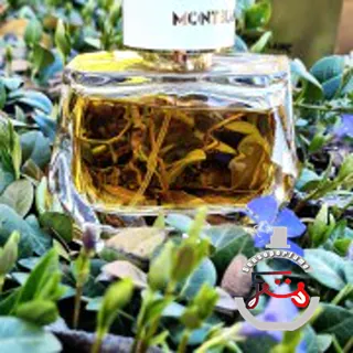 Signature Absolue Montblanc