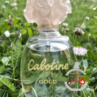 Cabotine Gold Grès