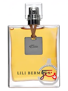 سدار لیلی برمودا | cedar lili bermuda