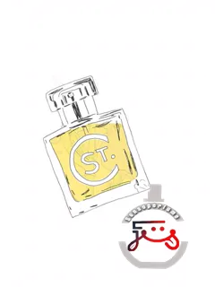پاندورا سنت کلر اسنتس | pandora st. clair scents