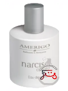 نارسیسو چیپریاتو امریگو | narciso cipriato amerigo