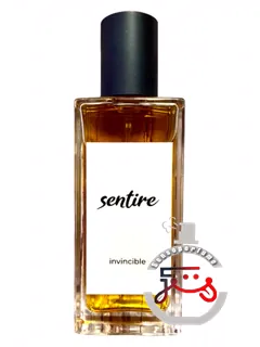 این‌وین‌سیبل سنتایر | invincible sentire