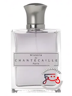 ویستریا شانتکای | wisteria chantecaille