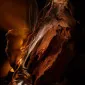 Flaming Spirit