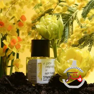 A Sorta Fairytale In Hyde Park Strangers Parfumerie
