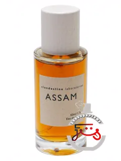 آسام لابراتوارهای مخفی | assam clandestine laboratories
