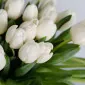 Valentine_G