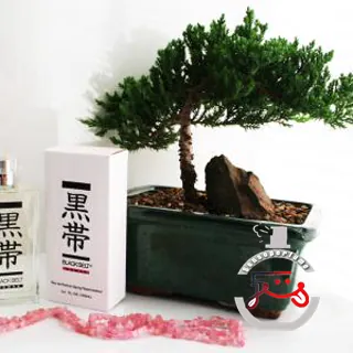 Black Belt Woman Black Belt Fragrances