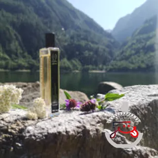 1969 Parfum de Revolte Histoires de Parfums