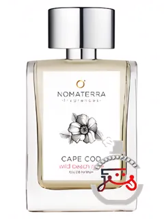 کیپ کاد وایلد بیچ رز نوماترا | cape cod wild beach rose nomaterra