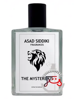 آسد صدیقی مرموز | the mysterious asad siddiki