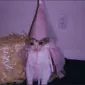 mothmoth18