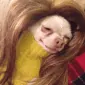 BabyPhatJizz