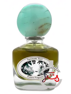 سورینام ورت پیکتورا فراگرانس | surinam vert pictura fragrans