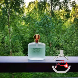 Acqua di Gio Giorgio Armani