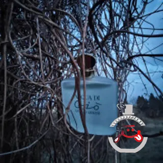Acqua di Gio Giorgio Armani