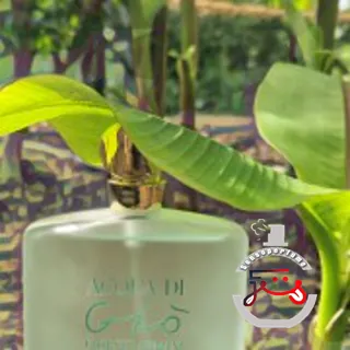 Acqua di Gio Giorgio Armani