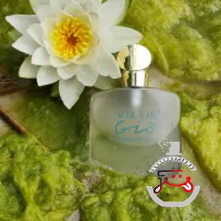 Acqua di Gio Giorgio Armani
