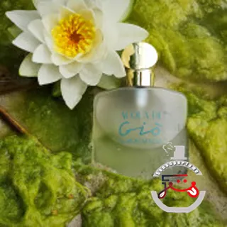 Acqua di Gio Giorgio Armani